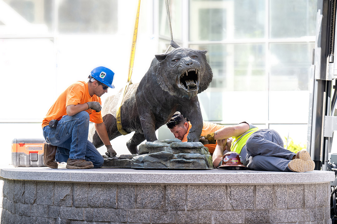 two construction workers installing a tiger statue on a base outdoors.