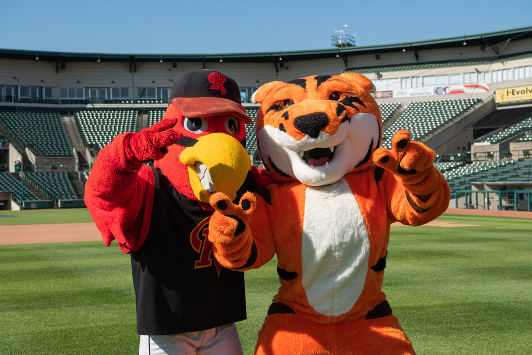 a cardinal mascot and a tiger mascot posing for a photo.