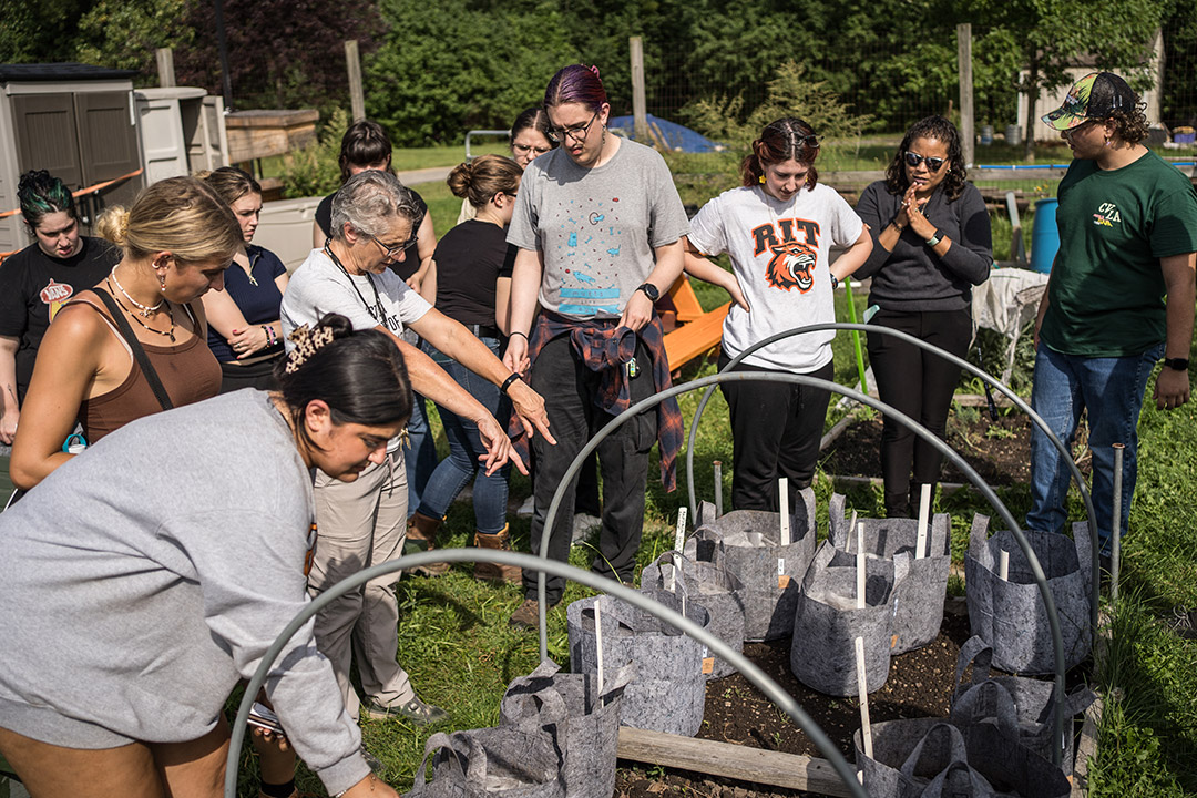 college students standing around a small garden outside, listening to instructions from the professor.