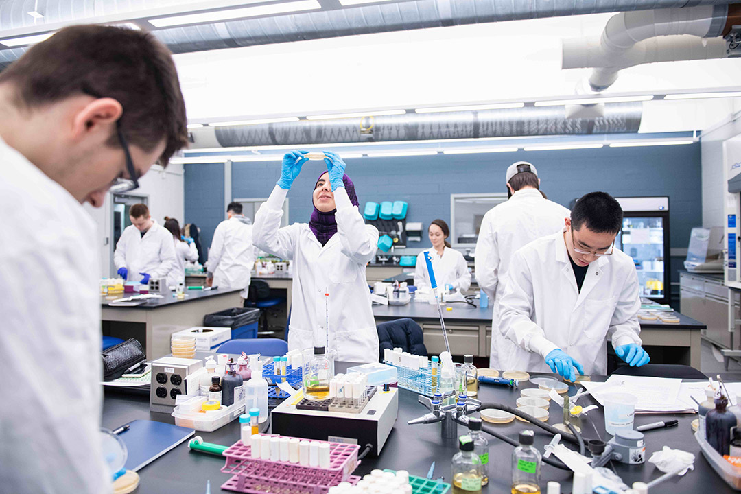 college students wearing white lab coats working in a science lab.
