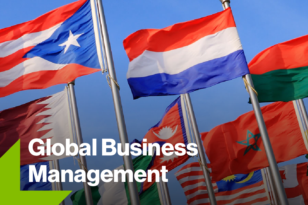 Photo of flags with global business management text