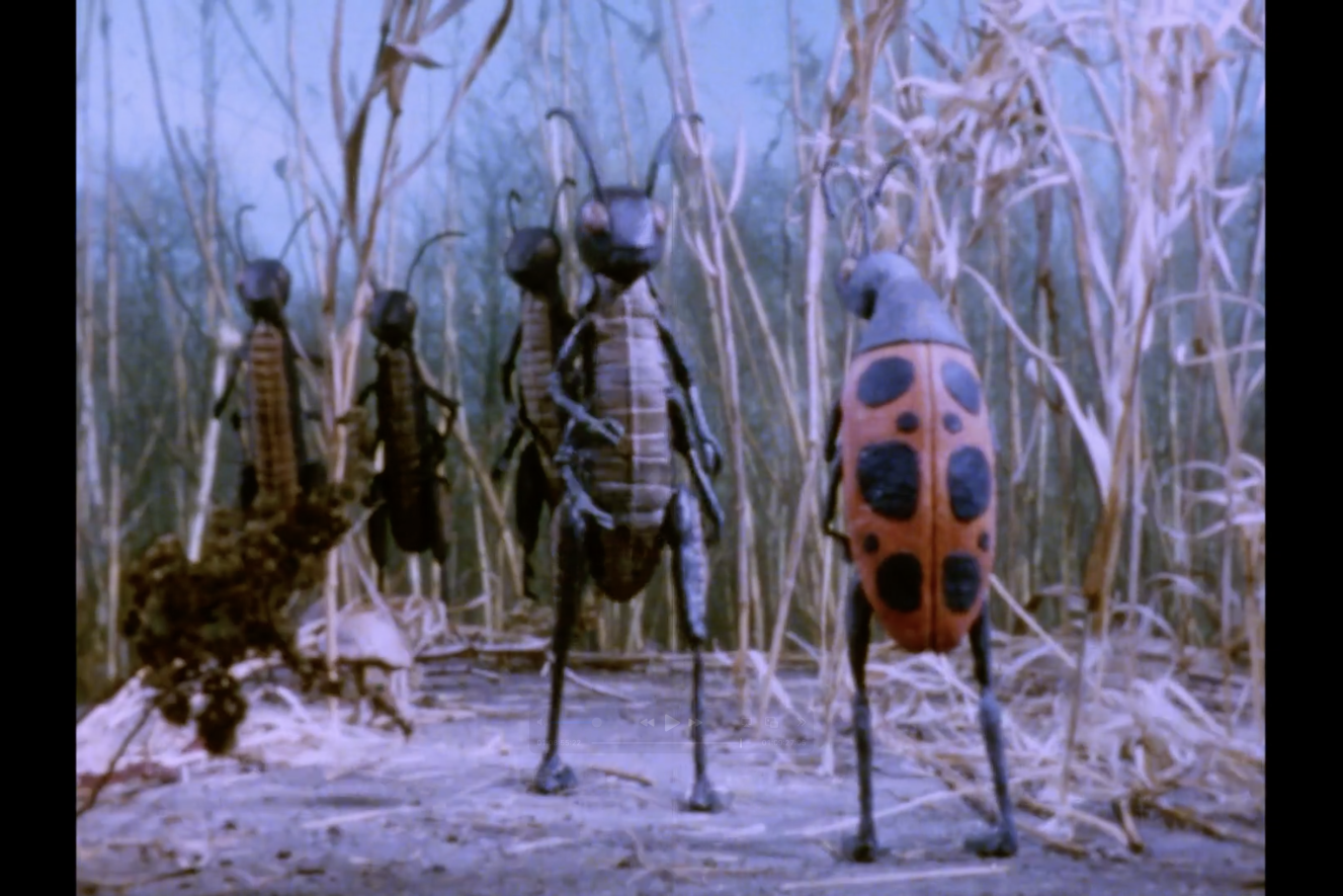 A screenshot of Cricket, a stop motion film about bugs.