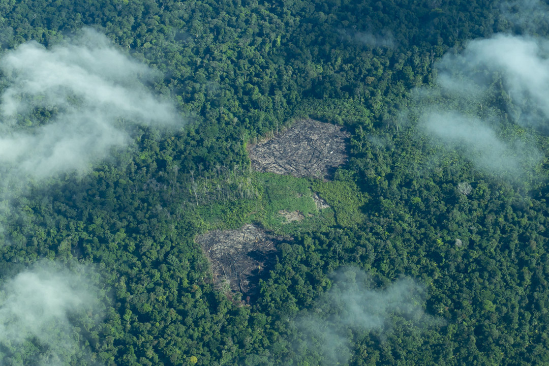 'an arial photo of the amazon shows a large amount of deforestation'