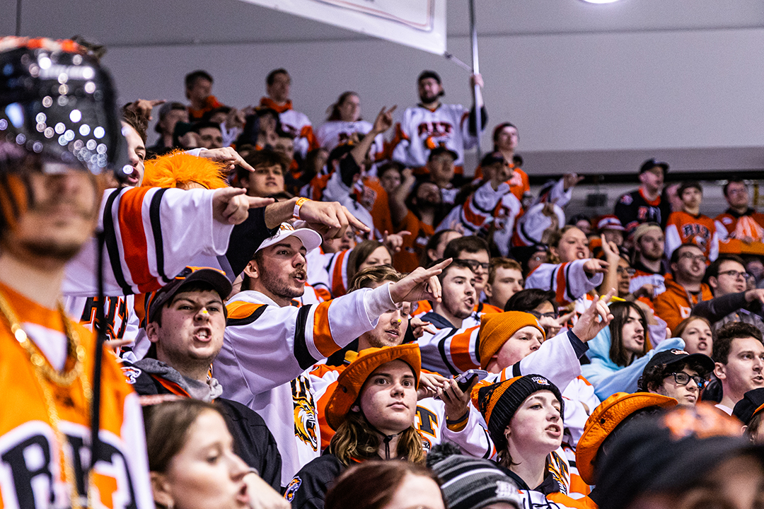a crowd is shown cheering for the Tigers at a home game.