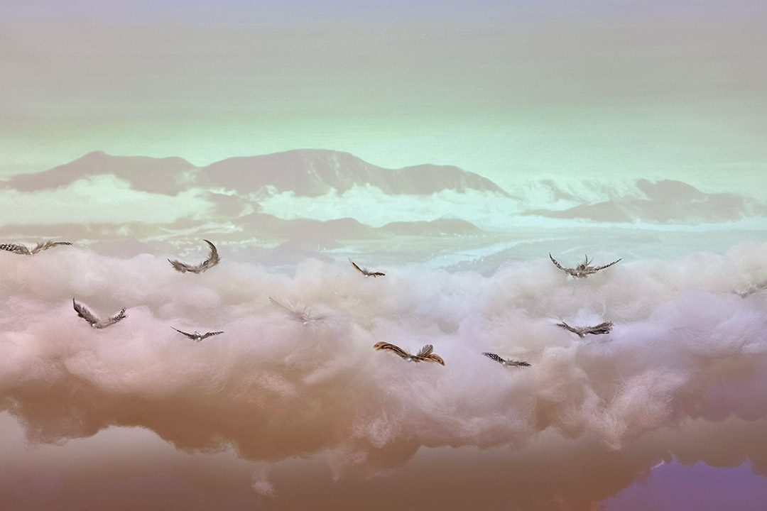an arial view of Croatia’s Neretva Delta is shown through clouds with birds in the air.