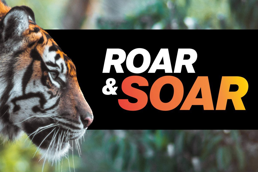 The profile of a tiger face is shown with a jungle in the background. The words Roar and Soar appear in a black box next to the tiger face.