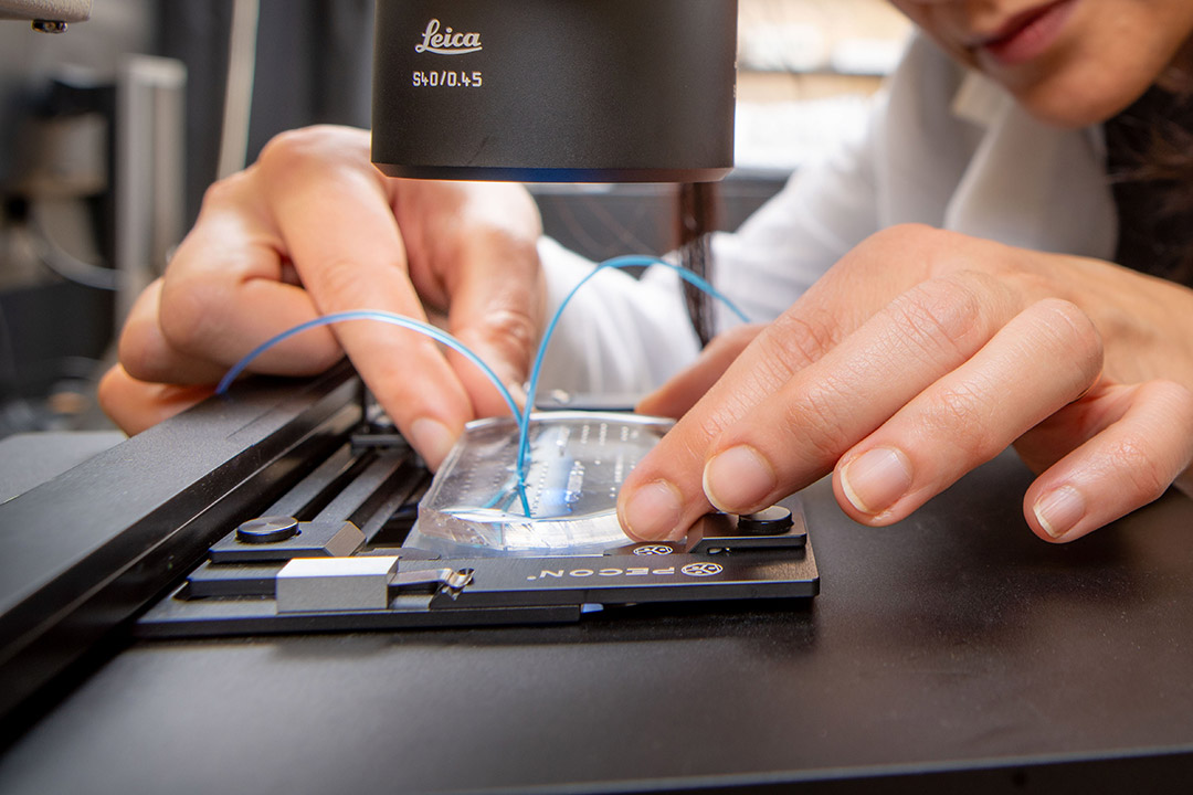 'human hands are shown putting a clear disk with blue wires extending from it on to a machine.'