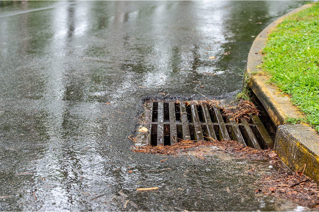 a storm drain with debris is shown on the side of a road on a wet day.