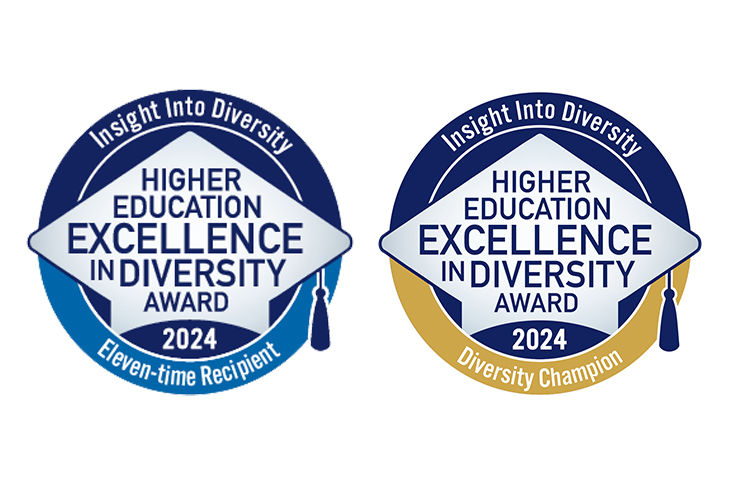 'Insight Into Diversity Higher Education Excellence in Diversity award 2024 badges.'