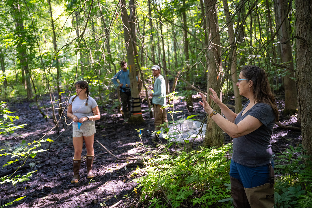 Evelyn Brister works with a group of Research Experience for Undergraduates (REU) students on a project that embraces an interdisciplinary approach to wetland restoration research