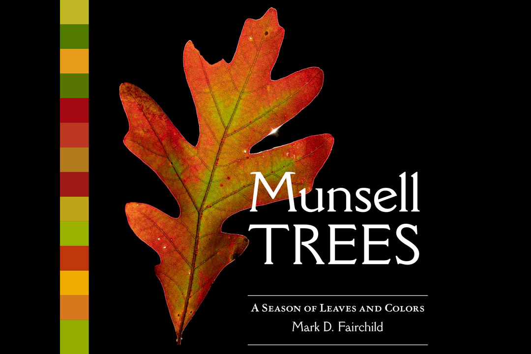 an orange and yellow leaf appears next to a thin vertical bar with reds, oranges, yellows, and greens on it. To the right of the leaf, the title of the book, Munsell Trees appears.