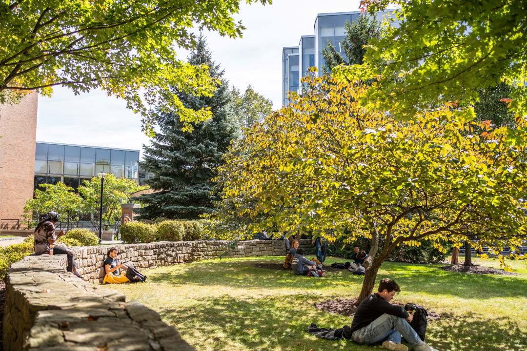 students mingle in a grassy area of campus featuring a rock wall and a few trees.