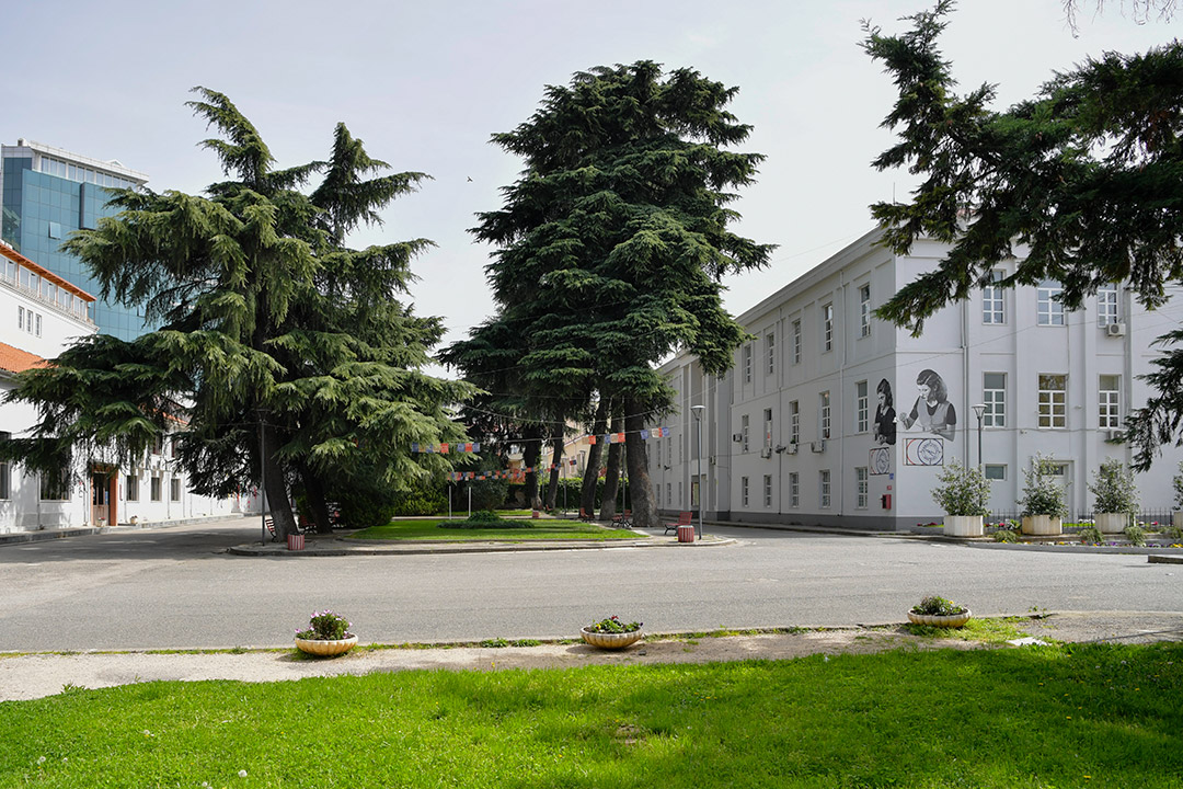 Tree-lined courtyard with a white academic building, murals on the wall, and colorful flags strung across the walkway.