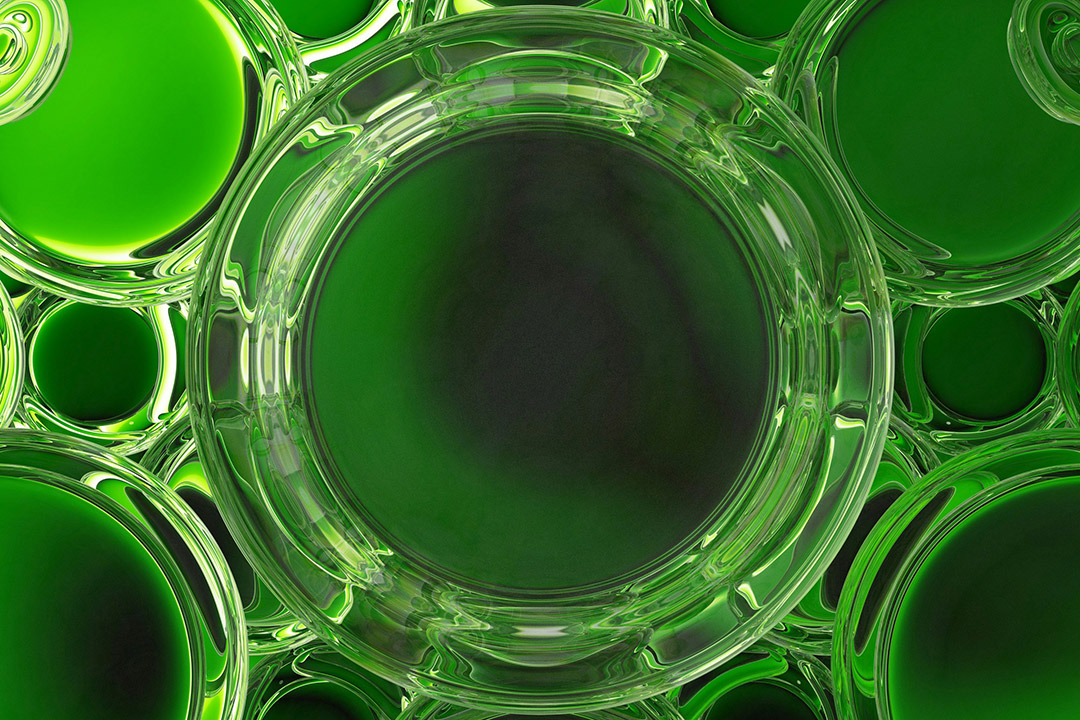 green circles of various sizes are shown as a background image.