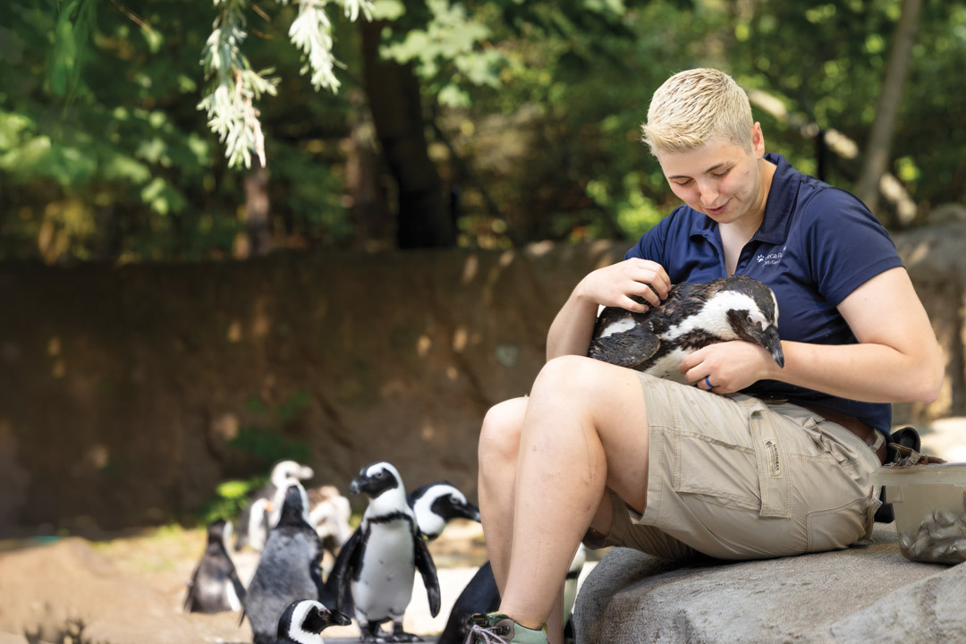 a woman sits o a rock at a zoo, holding a penguin with others standing next to her.