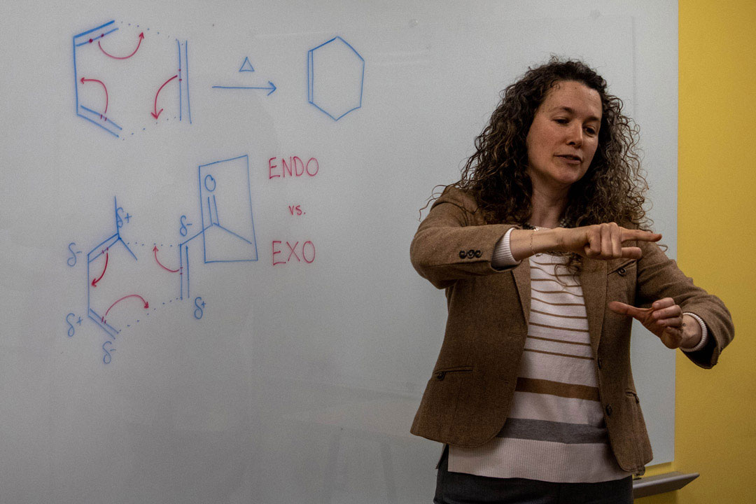 'Goudreau Collison is shown iteaching a class.'