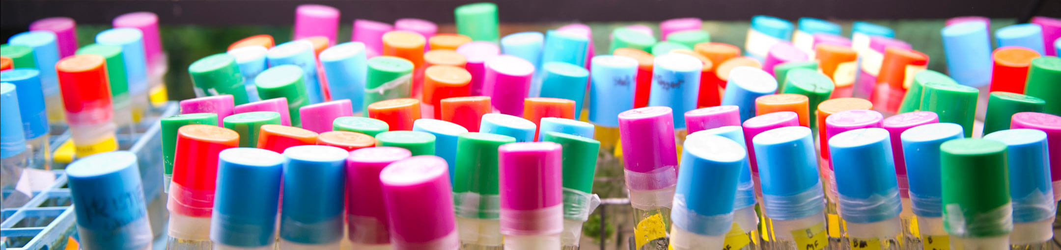Close up of test tubes with a variety of colored stopper caps.