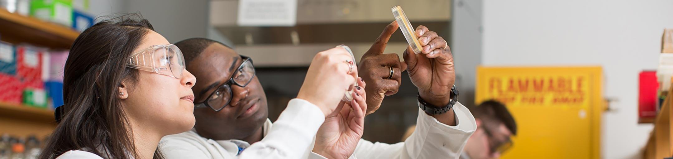 Two students looking at a sample in a pitri dish.