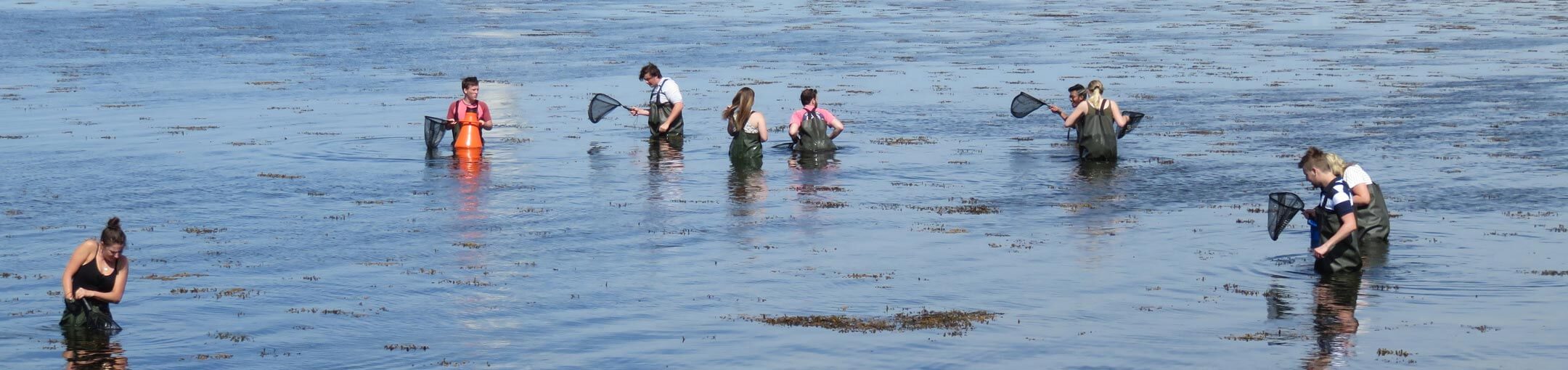 Nine students with fish nets standing in water.