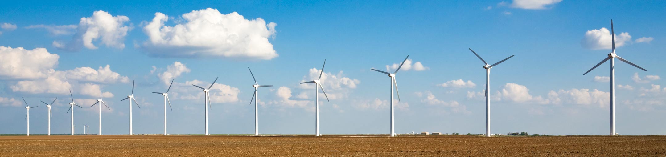 A skyline with several windmills.