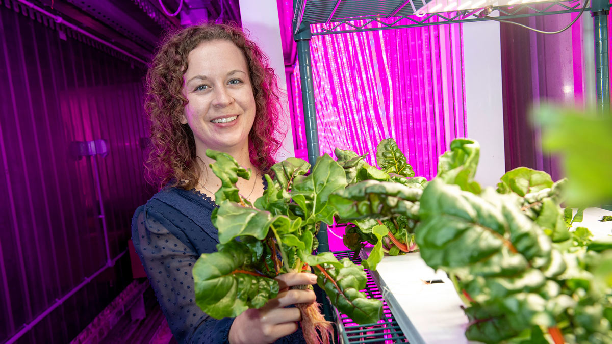 A student works with plants in a purple lit room.