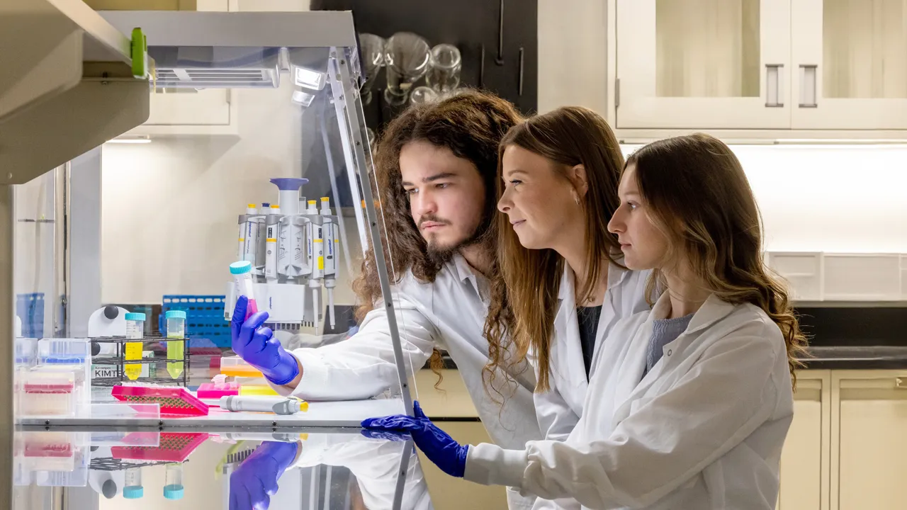 Students work on a biological sciences-related project.