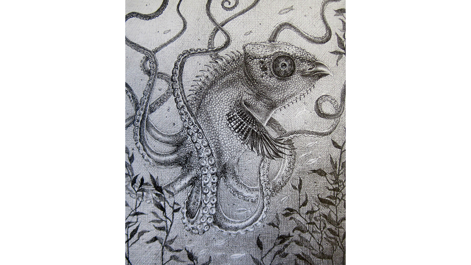 An illustration of a fish-octopus hybrid
