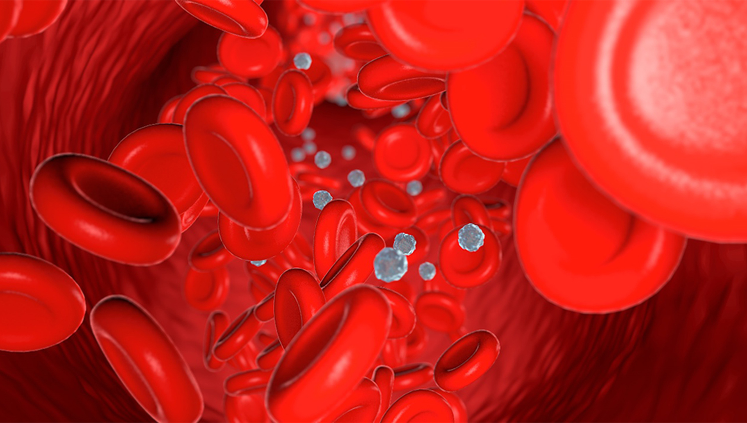 An illustration of a blood vessel