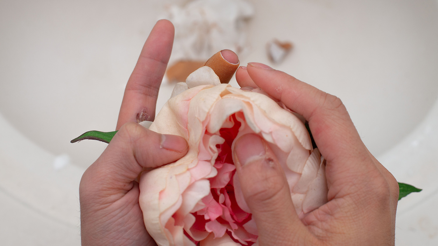 Hands hold a flower over a sink.