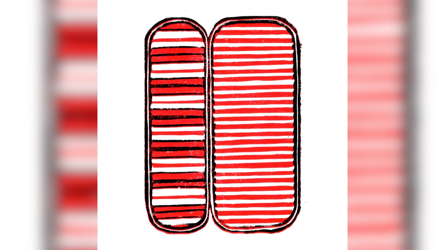 a print design with red, white and black stripes.