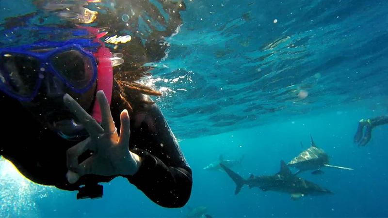 Breeann Wilson scuba diving with sharks