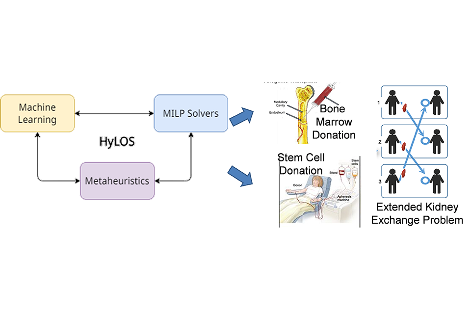 A diagram of the research.