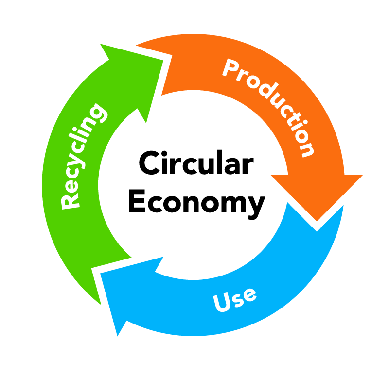 Research Insights: Coming Full Circle