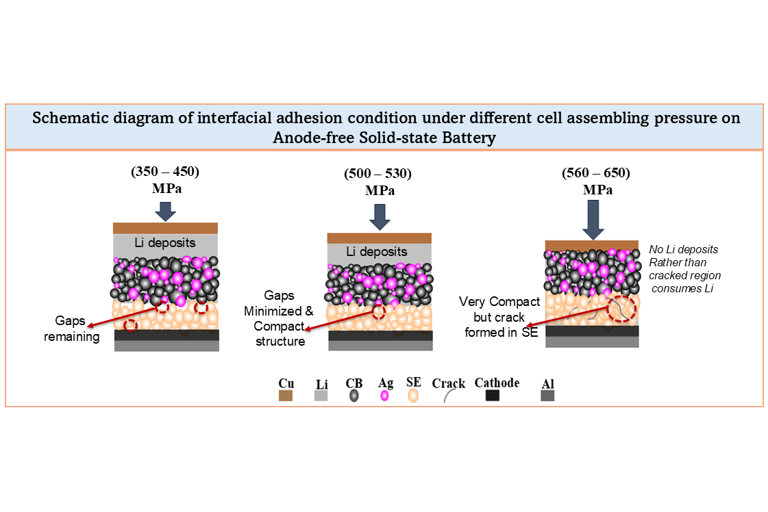 Schematic diagram of interfacial adhesion condition under different cell pressure on Anode-free Solid-state Battery. 