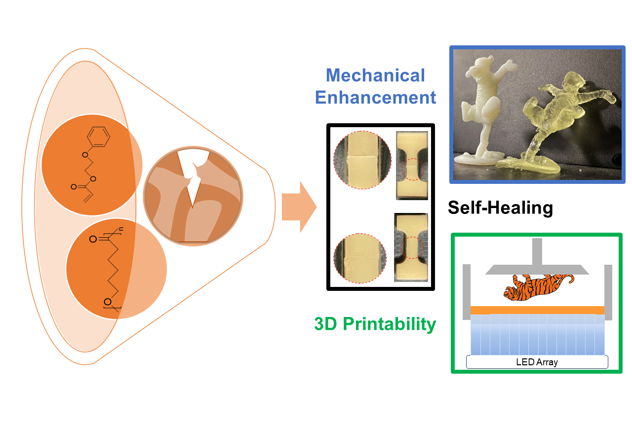 A diagram showing the research.