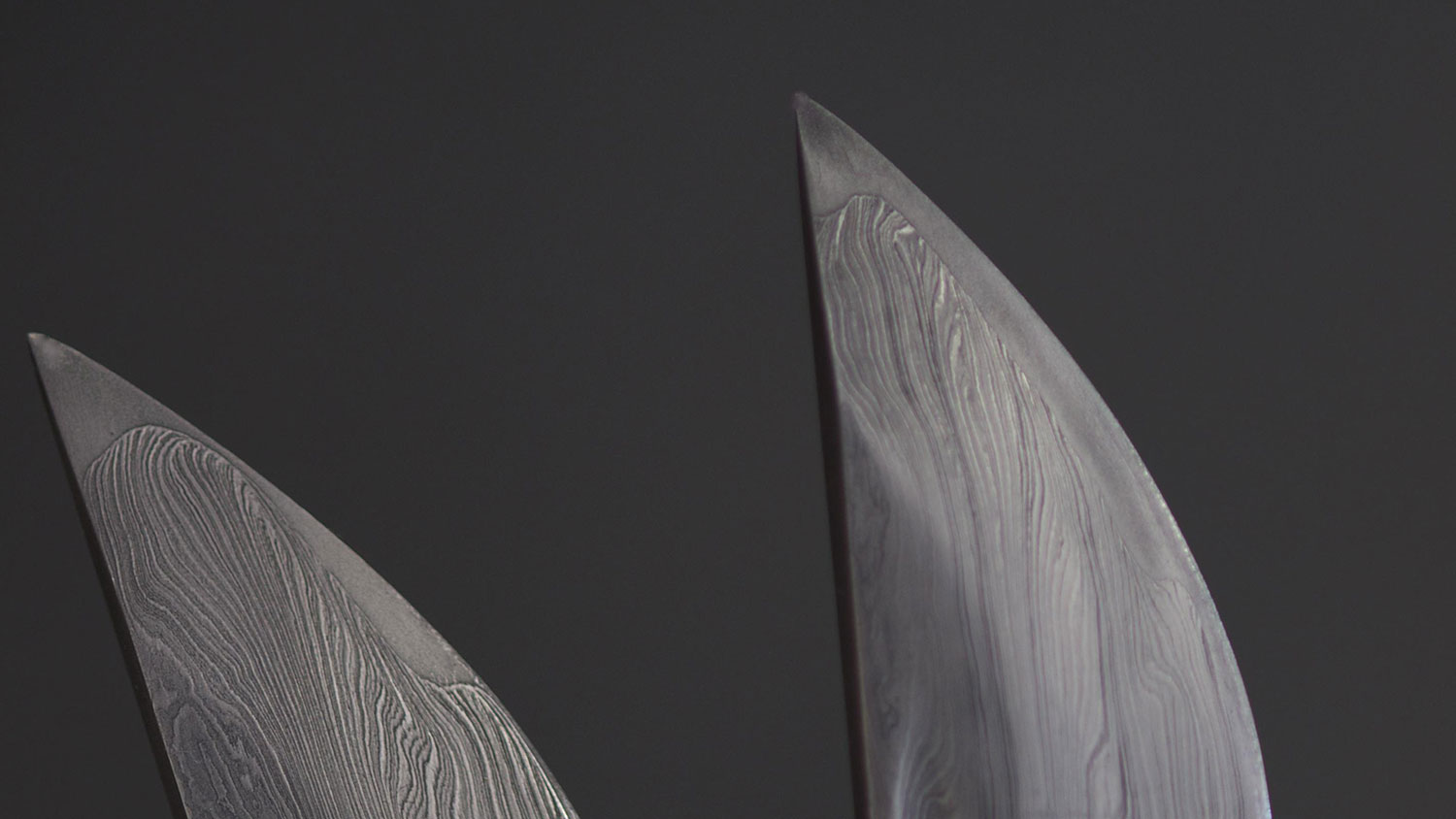 Close-up of the tips of two knife blades that shows detail resembling wood grain.