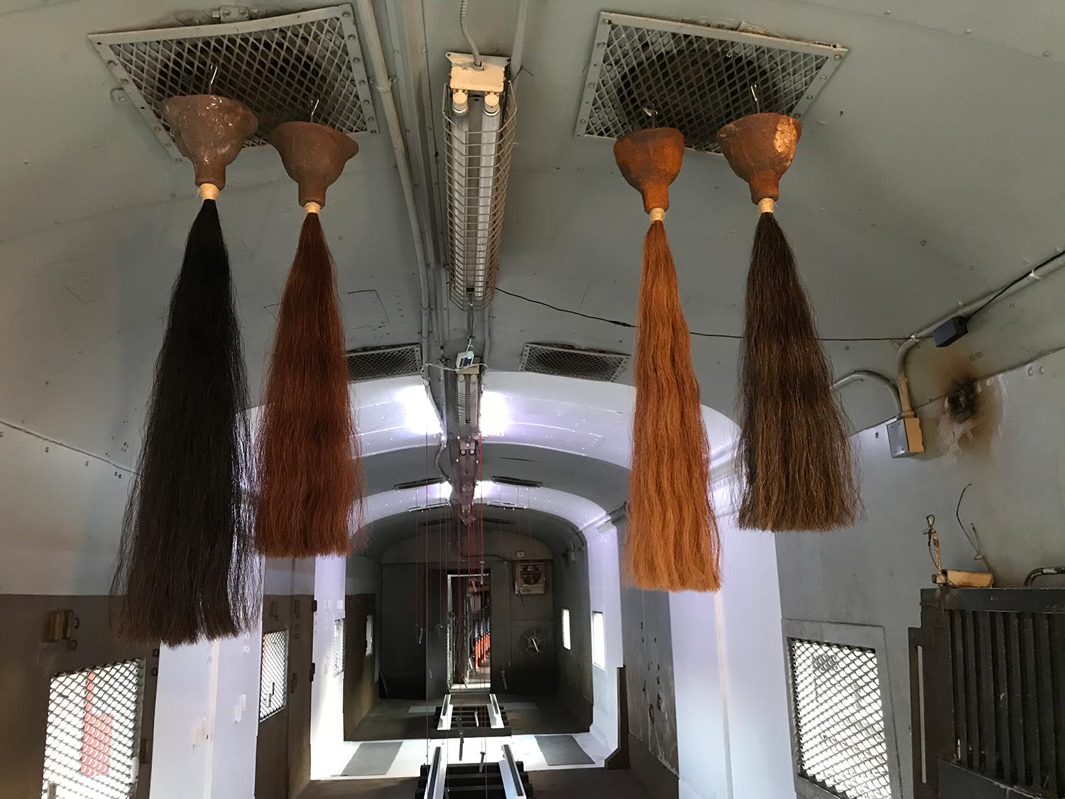 four horsehair tails hanging from the ceiling of an empty train car.