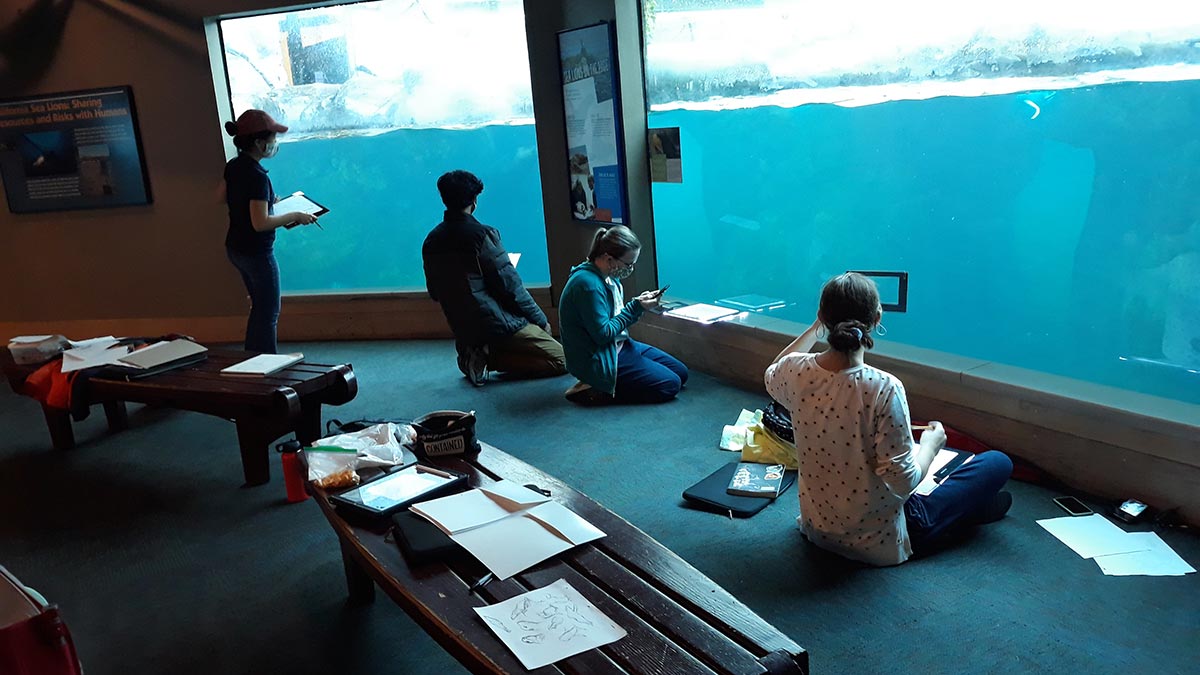 Students sitting working on paper, drawing reference from the seals in the zoo.