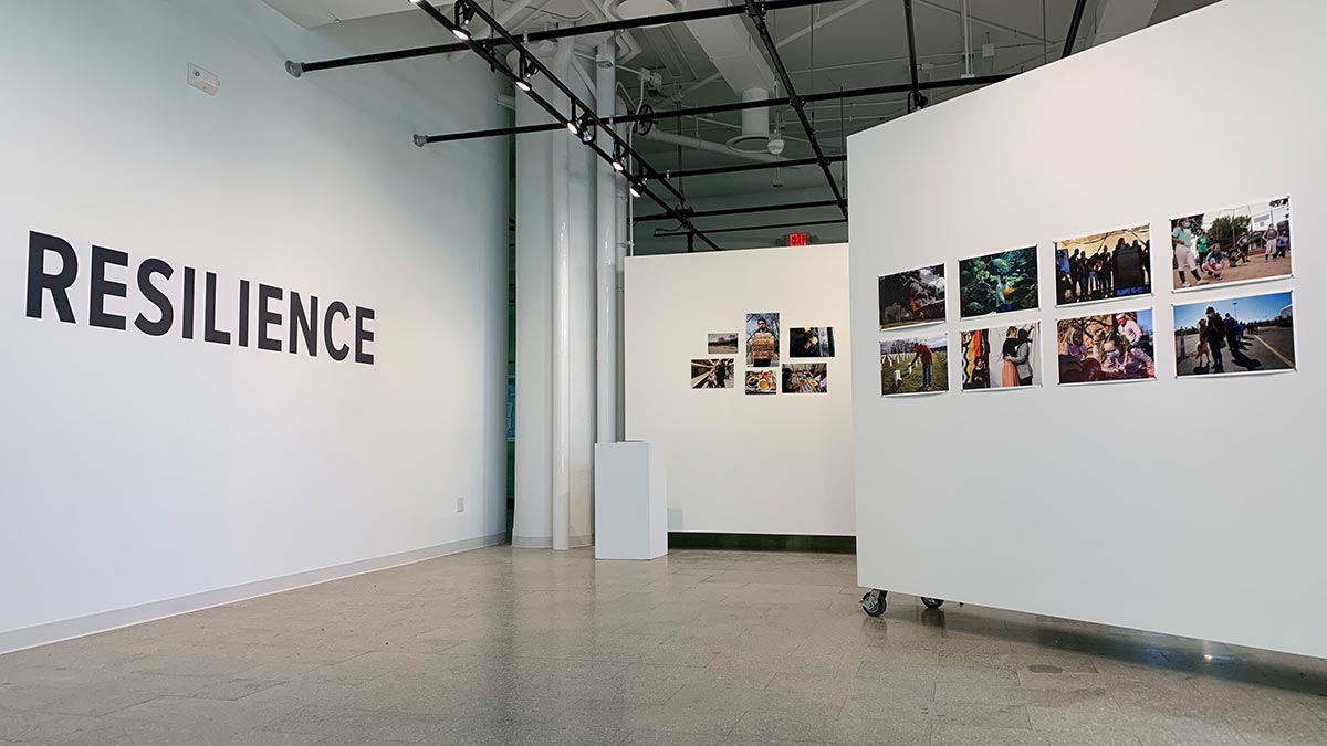 photos hanging on movable walls in an empty gallery.